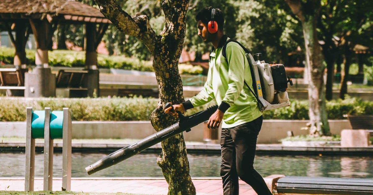 Scottsdale's Lawn Care Services